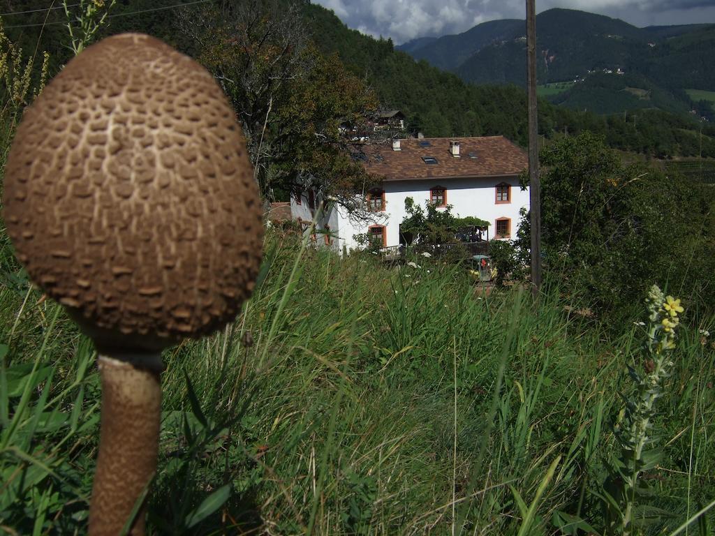 Вилла Gruberhof Сан-Дженезио-Атезино Экстерьер фото